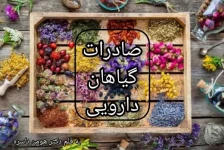 صادرات گیاهان دارویی