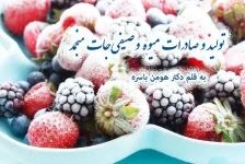 تولید و صادرات میوه و صیفی‌جات منجمد