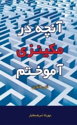 آنچه در مکینزی آموختم