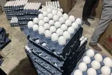 صادرات ۳۳ هزار تن تخم مرغ از ابتدای سال ۱۴۰۳