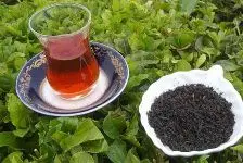 واردات چای مشروط به خرید محصول داخلی است